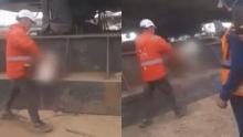 Despiden a trabajador que habría sacrificado a una gallina en obras del metro de Bogotá