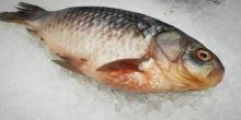 Semana Santa: algunos consejos para comprar pescado y evitar intoxicaciones