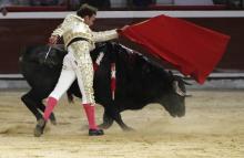 ¿Se logrará? Proyecto para prohibir las corridas de toros pasó a último debate en Cámara