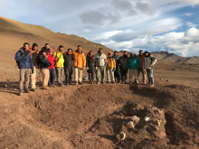 En Argentina, investigadores hallaron los fósiles del mamífero más grande que convivió con los dinosaurios 