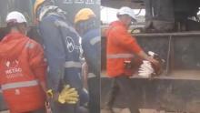 Denuncian presunto sacrificio de gallina en obras del metro de Bogotá: piden al alcalde pronunciarse