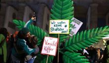 En medio de festejos y críticas, Alemania legalizó el uso recreativo del cannabis: le contamos 