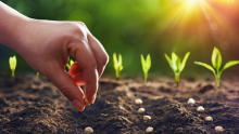 Científicos chilenos propusieron usar la orina humana como fertilizante: ¿cómo lo lograron?