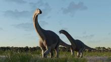 En Argentina, descubrieron un fósil de dinosaurio que vivió durante la era de la extinción
