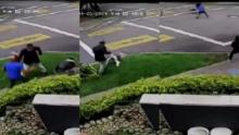 ¡Héroe de cuatro patas! En Bogotá, un valiente perro evitó que un asaltante robara a su dueño: aquí el video