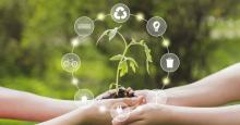 Economía circular: ¿en qué consiste y cuáles son sus beneficios?