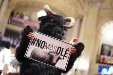 ¡Histórica victoria para los animales!  Congreso aprobó la ley que prohíbe las corridas de toros en Colombia