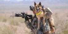 Así es el perro robot del ejército EE.UU. que está equipado con un rifle e inteligencia artificial