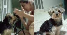 ¡Conmovedor! Perro entiende lengua de señas y así se comunica con su dueña