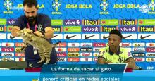 "La maldición del gato": en redes sociales le dan esta explicación al mal momento de Brasil