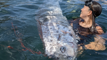 Turistas en California se encontraron con el "pez del fin del mundo": ¿a qué desastre se asocia?