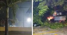 Emergencia en Barranquilla por fuerte vendaval que tumbó árboles y desprendió techos