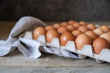 ¿Los huevos elevan el colesterol? Esto dice la ciencia al respecto