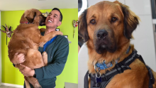 Diego Guauque confesó el inesperado rol de su perrito, Vito, durante su batalla contra el cáncer